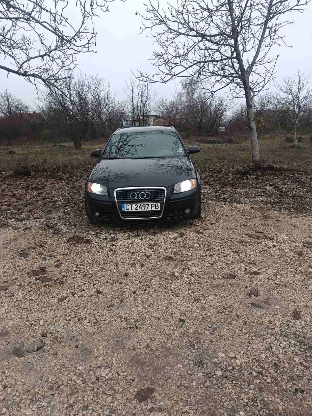 Audi A3, снимка 2 - Автомобили и джипове - 54383892