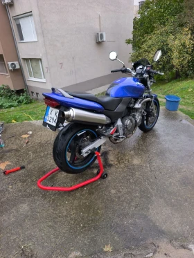 Honda Hornet | Mobile.bg    4