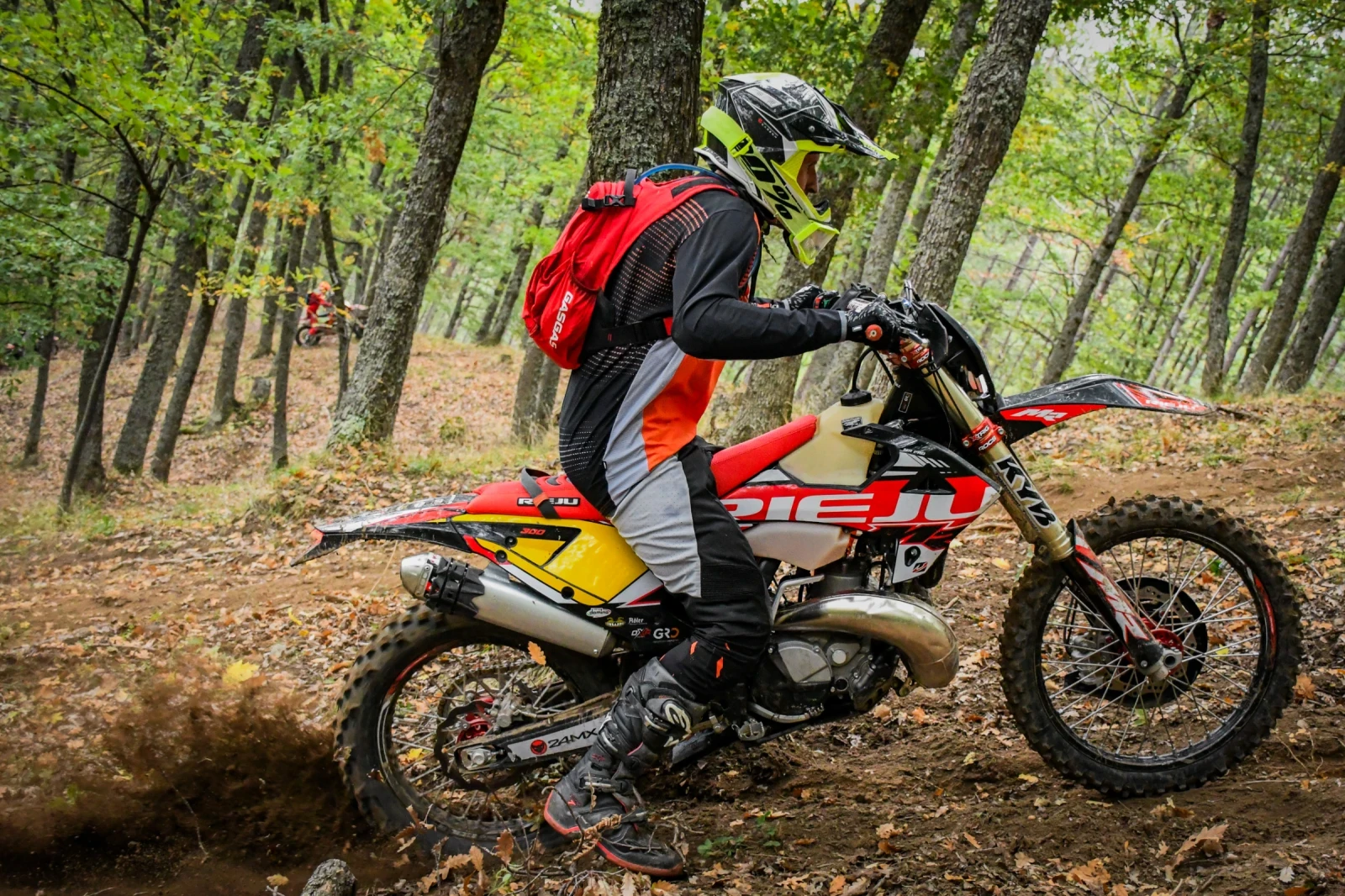 Rieju MR 300 Pro | Mobile.bg   16