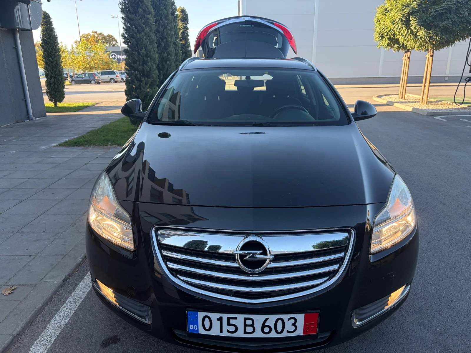 Opel Insignia 2.0 CDTI 130kc, снимка 10 - Автомобили и джипове - 56574138