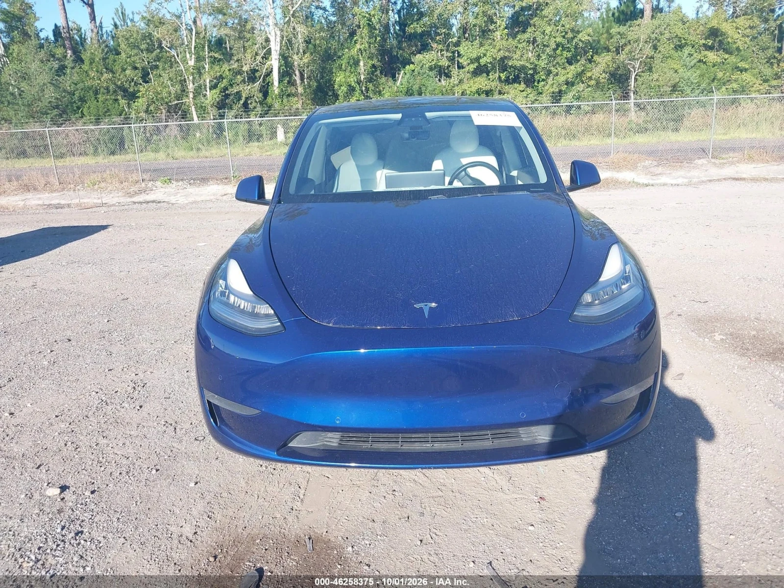 Tesla Model Y LONG RANGE DUAL MOTOR, ���� ���� ���� | Mobile.bg � ����������� 12
