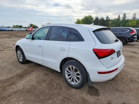 Audi Q5 2.0l Premium Plus - 4999 € - 73440138 2