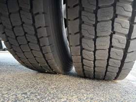 Daf XF 480 SSC XM-6 Fuel Filter | Mobile.bg    14