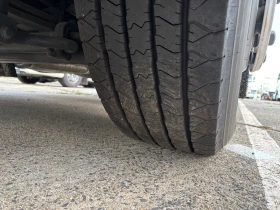 Daf XF 480 SSC XM-6 Fuel Filter | Mobile.bg    13