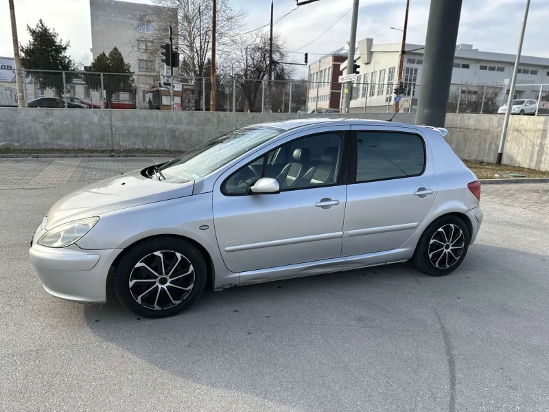 Peugeot 307 2.0 HDI, снимка 2 - Автомобили и джипове - 48931355