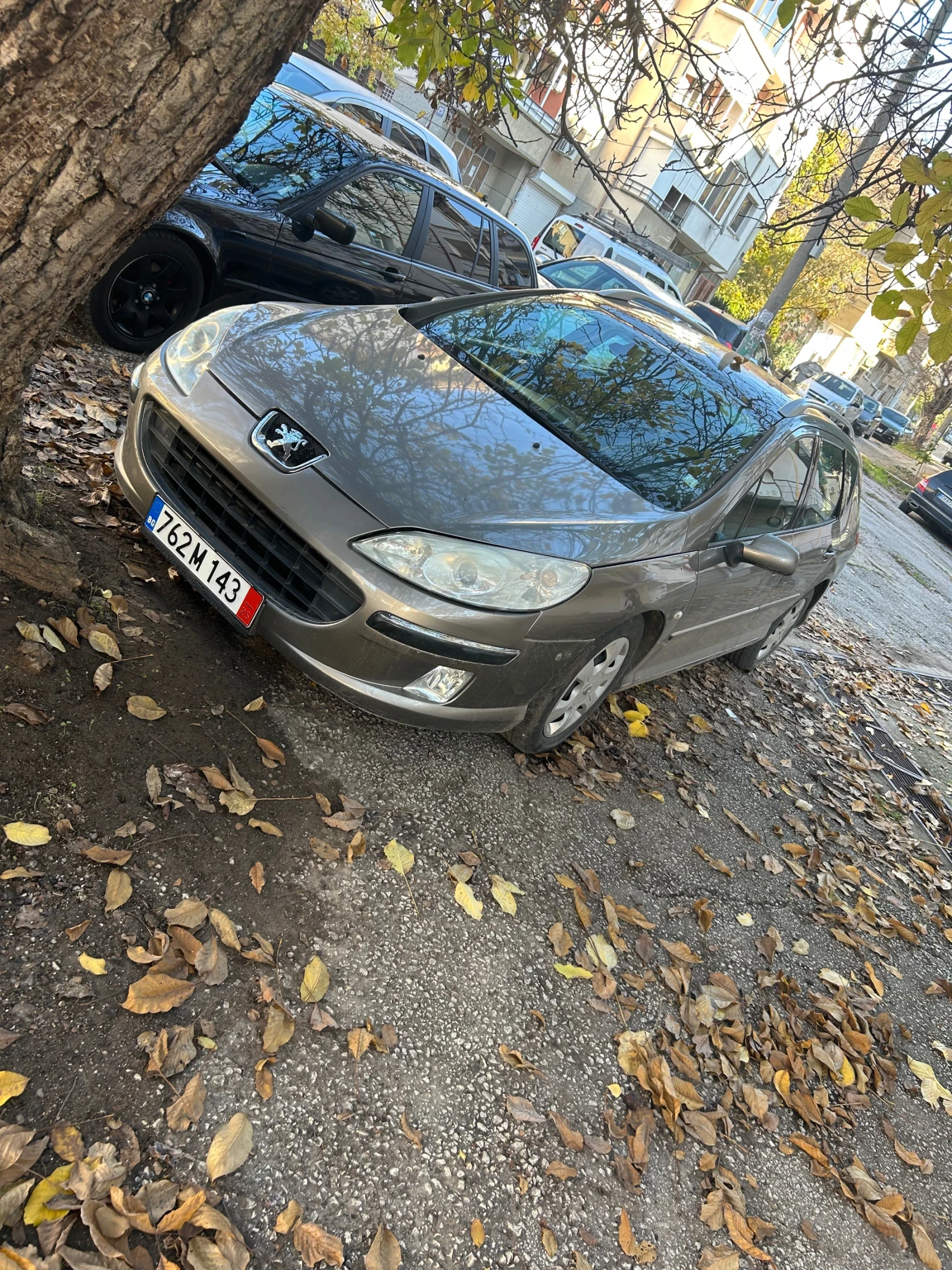 Peugeot 407 2.0HDI PANORAMA , снимка 1
