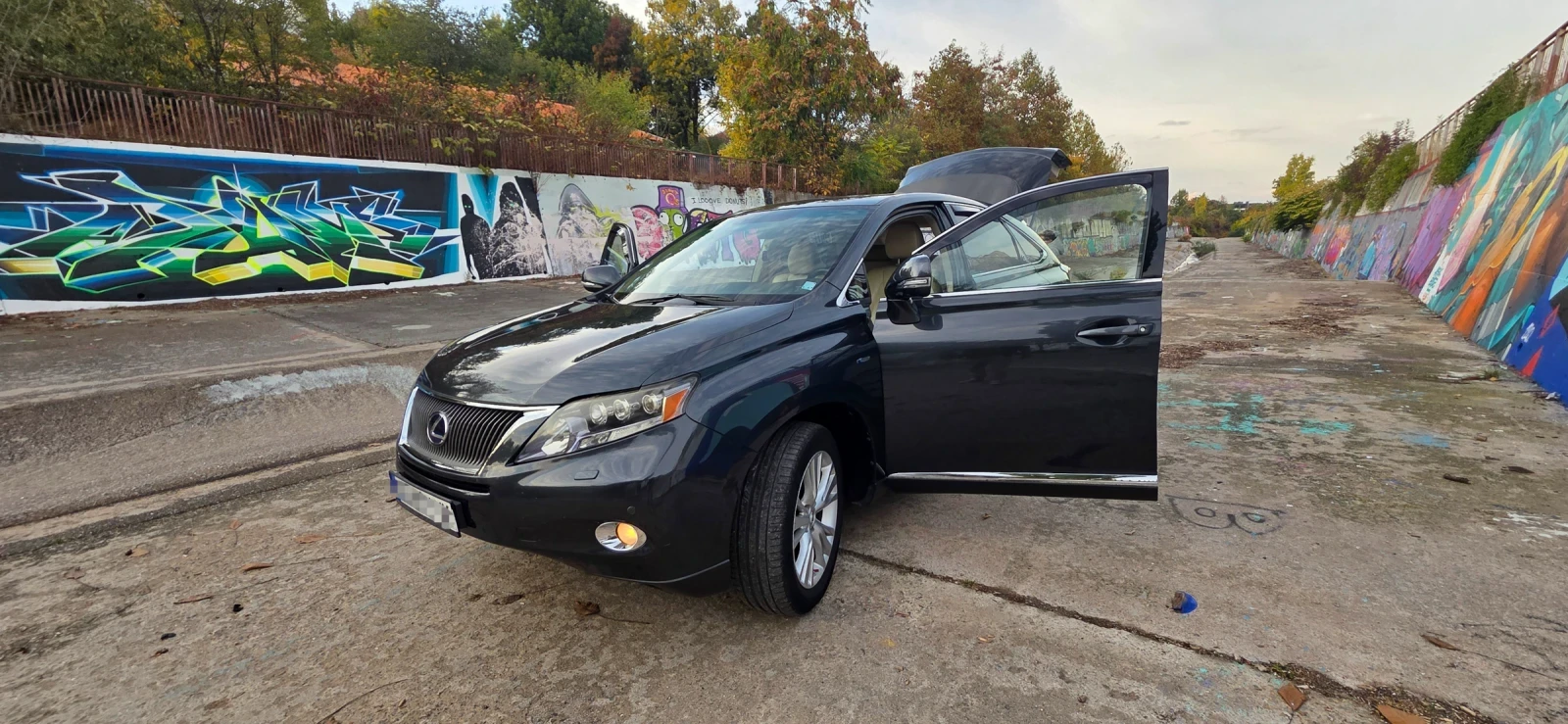 Lexus RX 450h 3.5, снимка 5 - Автомобили и джипове - 56716508
