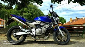     Honda Cb Hornet 600