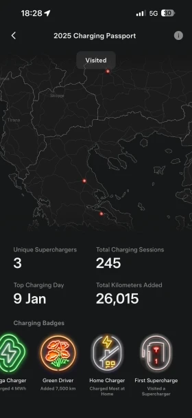 Tesla Model 3 Long range 4х4 82kw, снимка 9