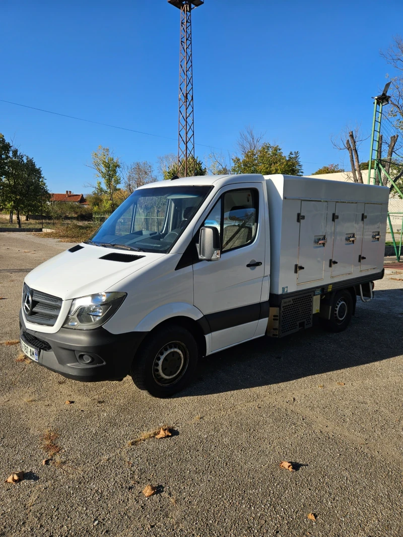 Mercedes-Benz Sprinter 310 Хладилен -40, снимка 2 - Бусове и автобуси - 47899789