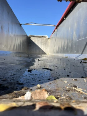  Stas sk 38 | Mobile.bg    6