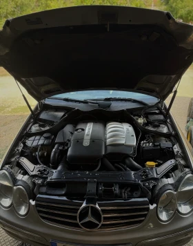Mercedes-Benz CLK | Mobile.bg    11