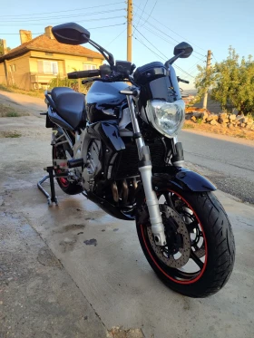     Yamaha FZ6