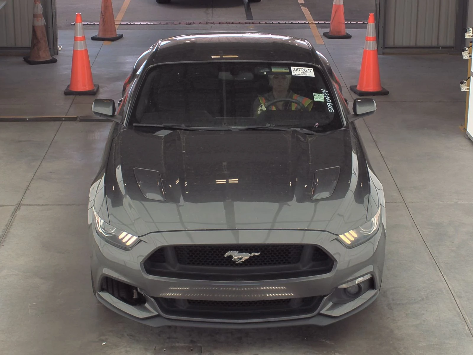 Ford Mustang GT 5.0  - изображение 2