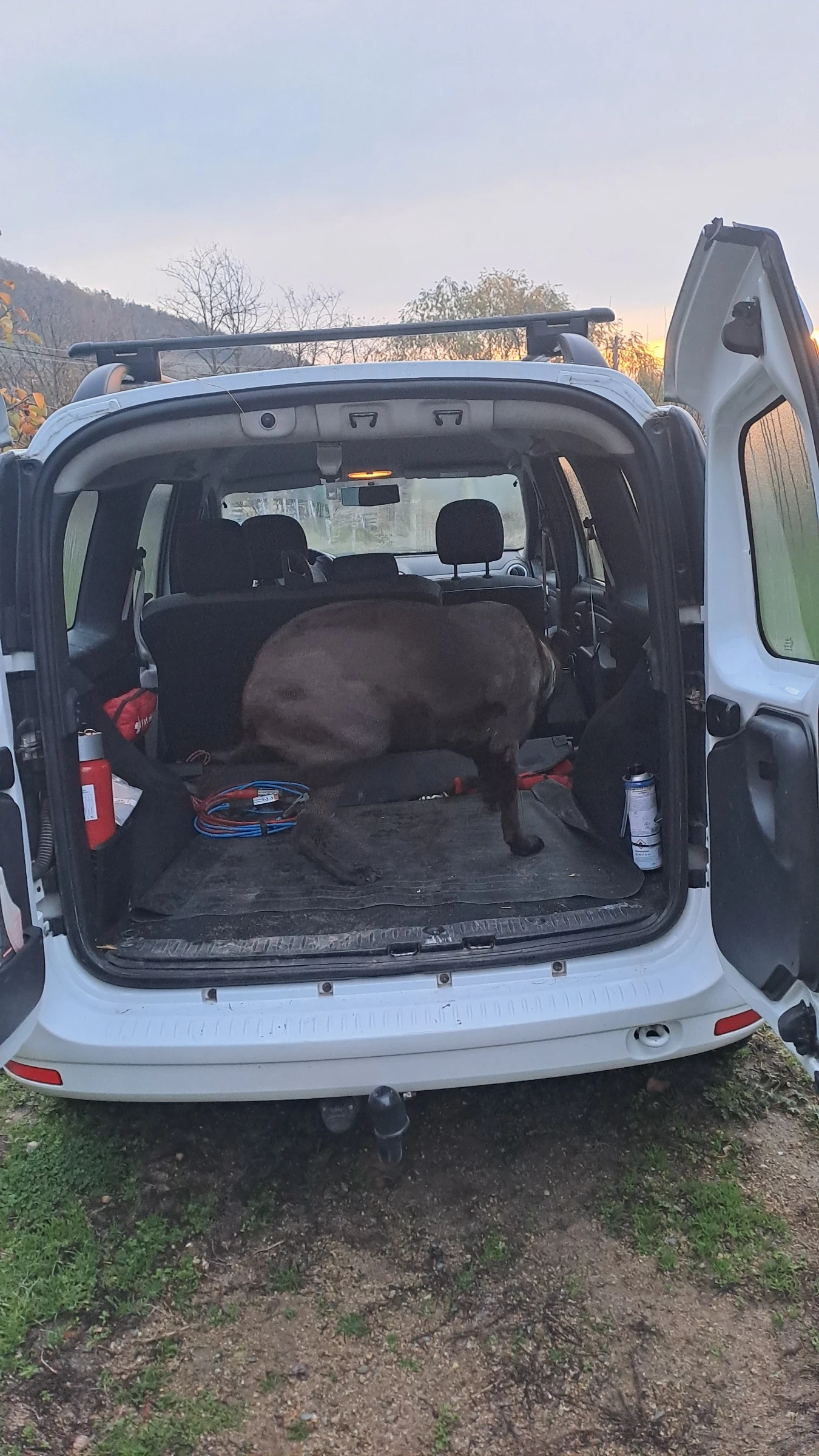 Dacia Logan  - изображение 5