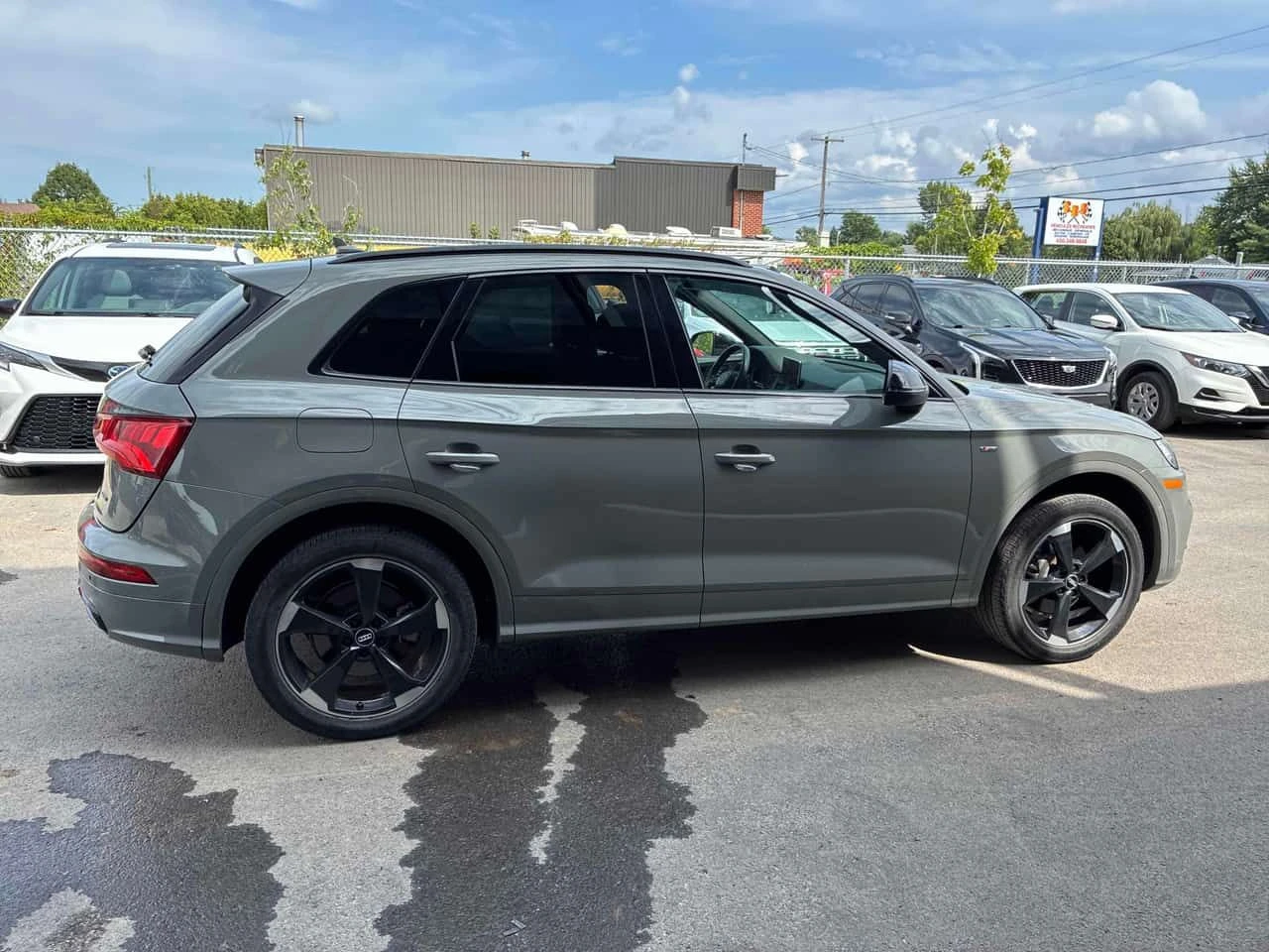 Audi Q5 Progressiv/Nardo Grey/S-LINE/CARFAX, снимка 3 - Автомобили и джипове - 55590982