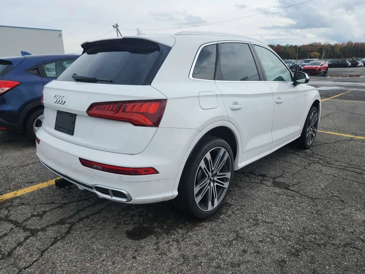Audi SQ5 S-LINE PROGRESSIV / CARFAX / RED INT  | Mobile.bg � ����������� 3