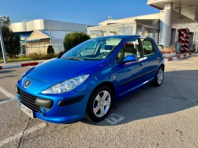    Peugeot 307 1.6 petrol / LPG