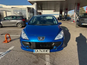     Peugeot 307 1.6 petrol / LPG