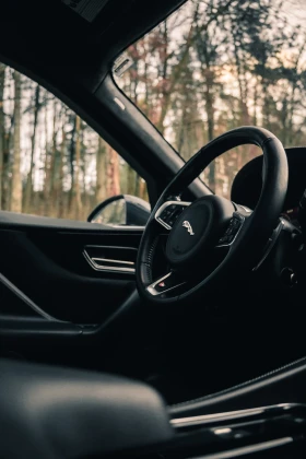 Jaguar F-PACE Лизинг/82300KM/ACC/Alcantara/ponorama/Ful!, снимка 10