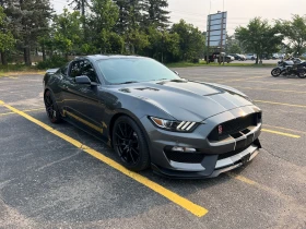 Ford Mustang Shelby GT350 Fastback CARFAX АВТО КРЕДИТ 