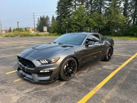 Ford Mustang Shelby GT350 Fastback CARFAX    | Mobile.bg    2