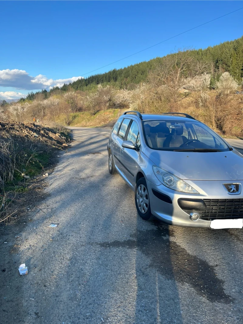 Peugeot 307, снимка 8 - Автомобили и джипове - 48434269