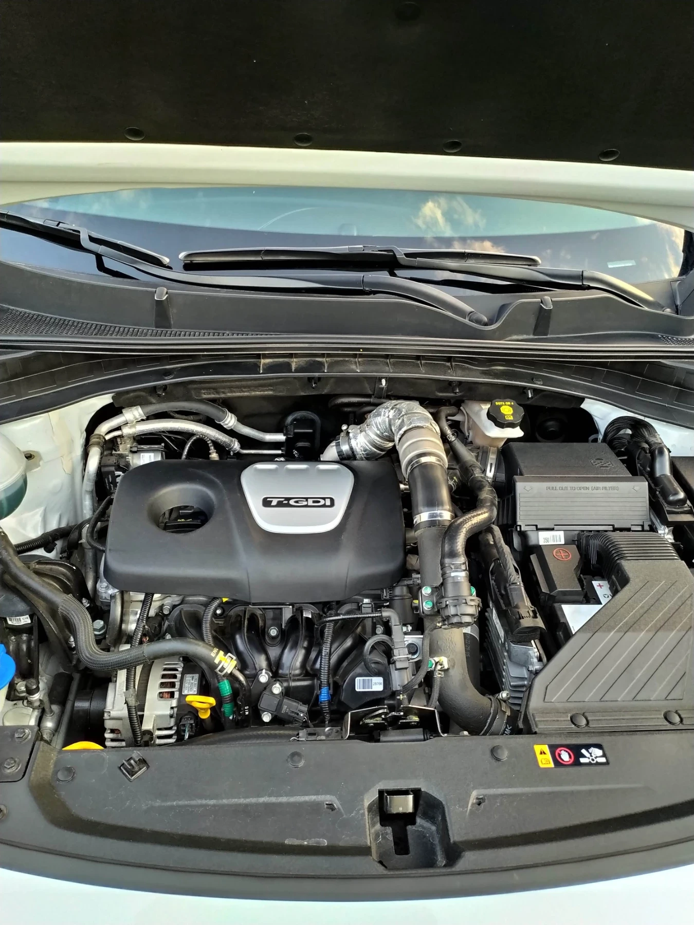 Kia Sportage  - изображение 8