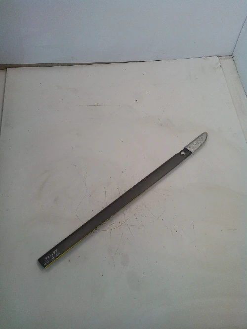 Предна дясна лайсна врата за Рено Лагуна (външна)