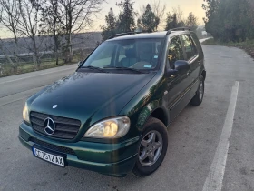 Mercedes-Benz ML 270, снимка 1