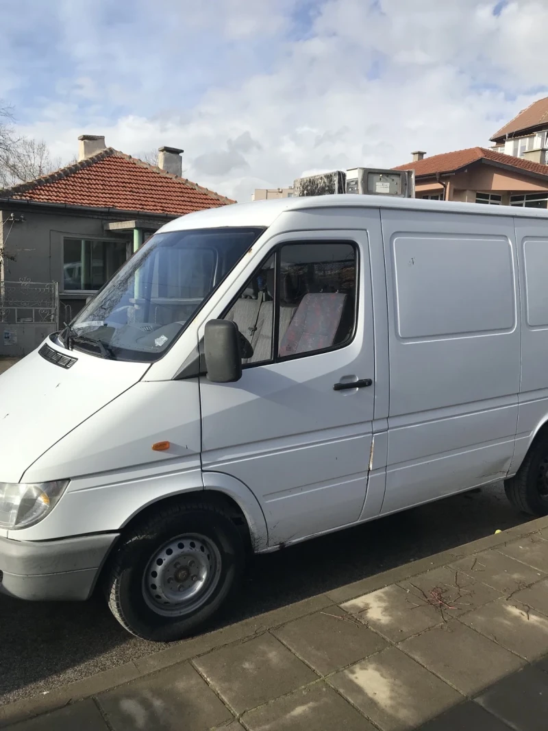 Mercedes-Benz 313 CDI, снимка 2 - Бусове и автобуси - 53022282
