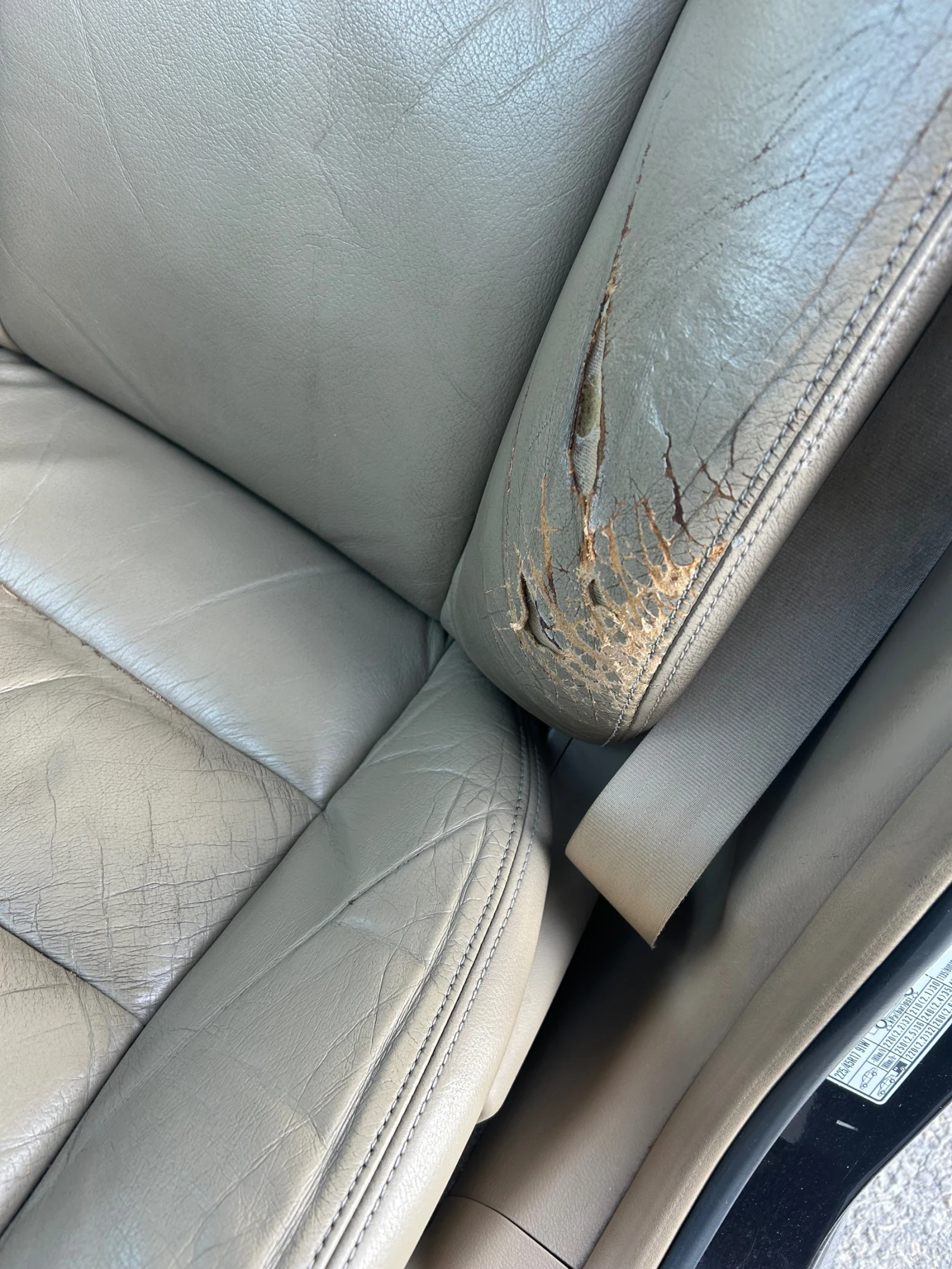 Honda Accord ����� | Mobile.bg � ����������� 10