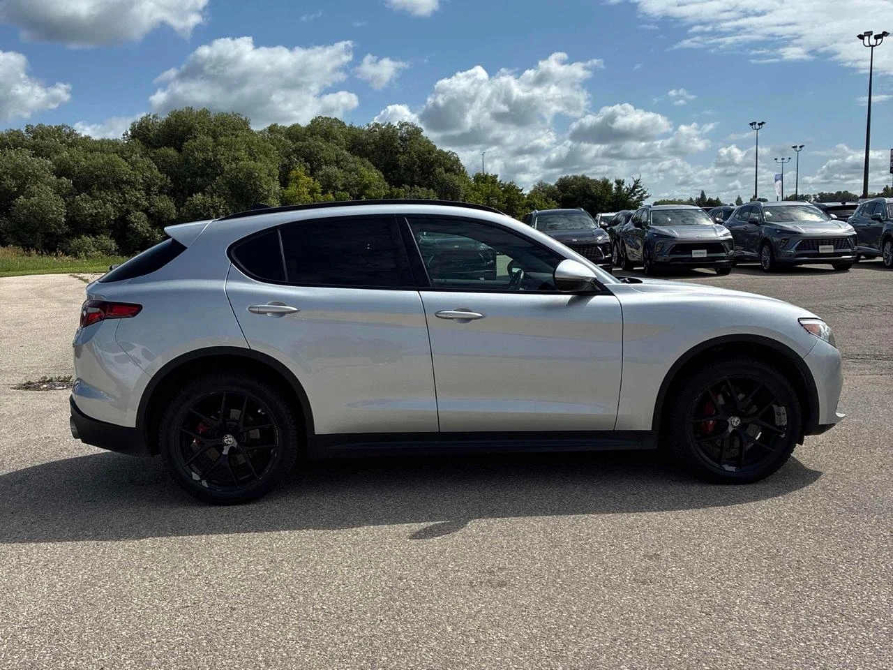 Alfa Romeo Stelvio TI SPORT * Цена до България , снимка 3 - Автомобили и джипове - 55941867