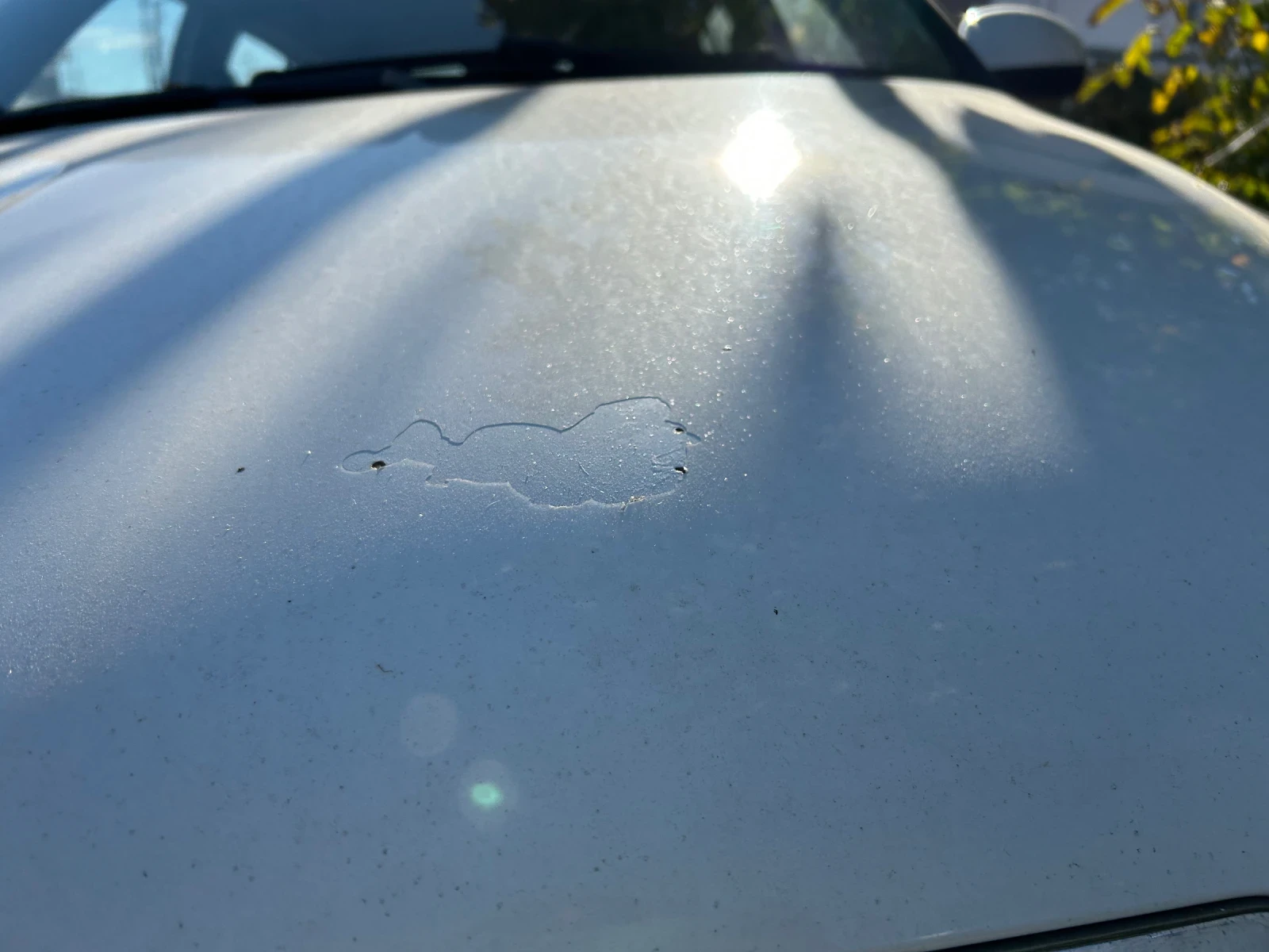 Skoda Fabia | Mobile.bg   14