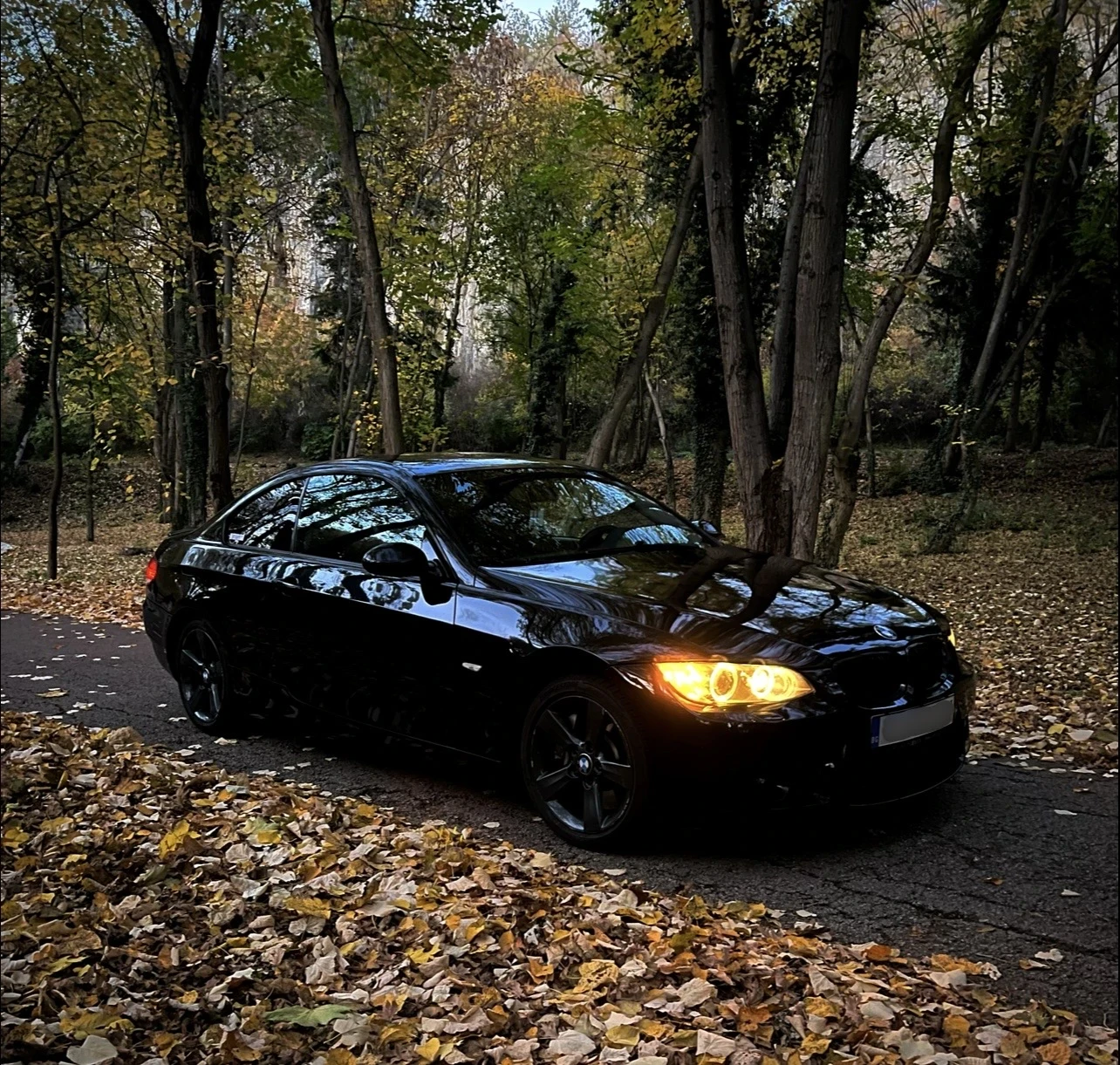 BMW 330 XD - изображение 2