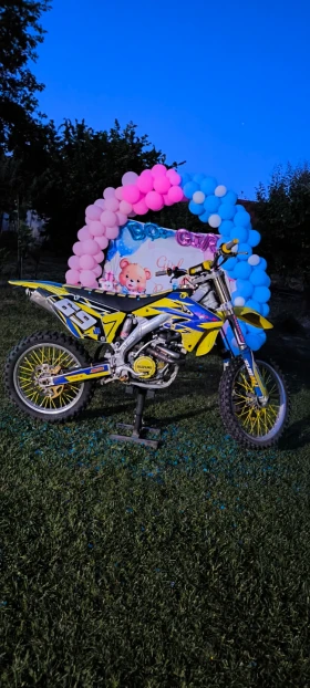     Suzuki Rmz