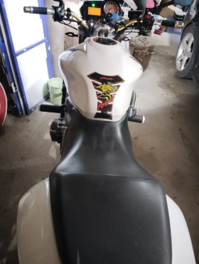 Honda Hornet CB600 | Mobile.bg    4