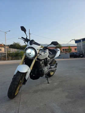  Honda Hornet