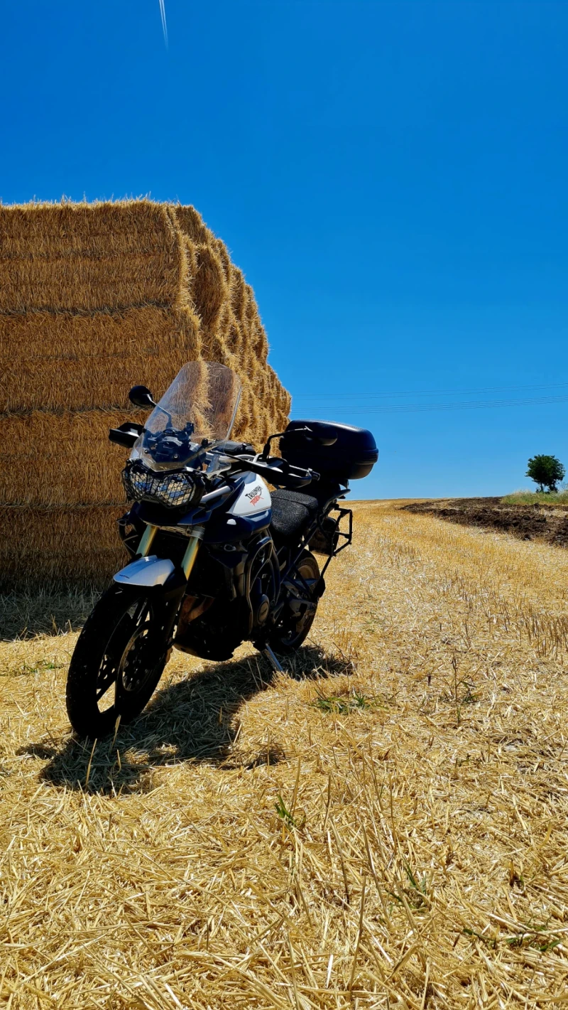 Triumph Tiger 800, снимка 11 - Мотоциклети и мототехника - 51081652