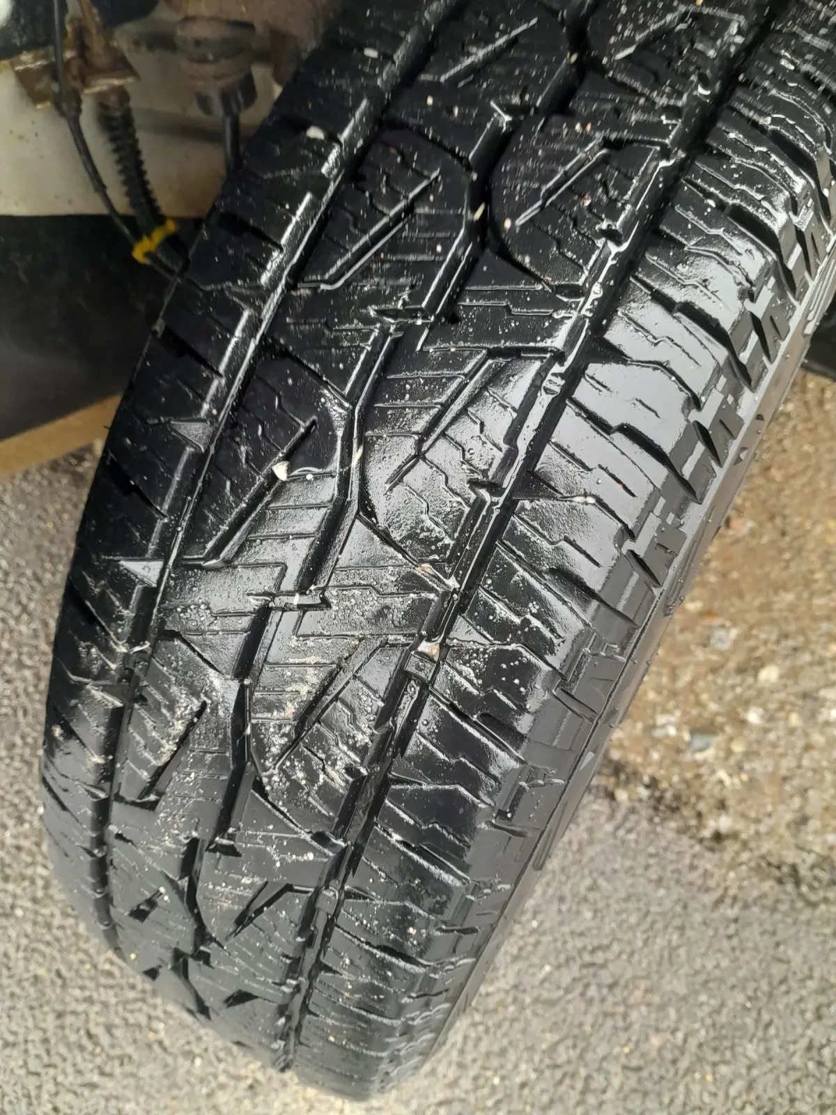 Land Rover Freelander | Mobile.bg � ����������� 8