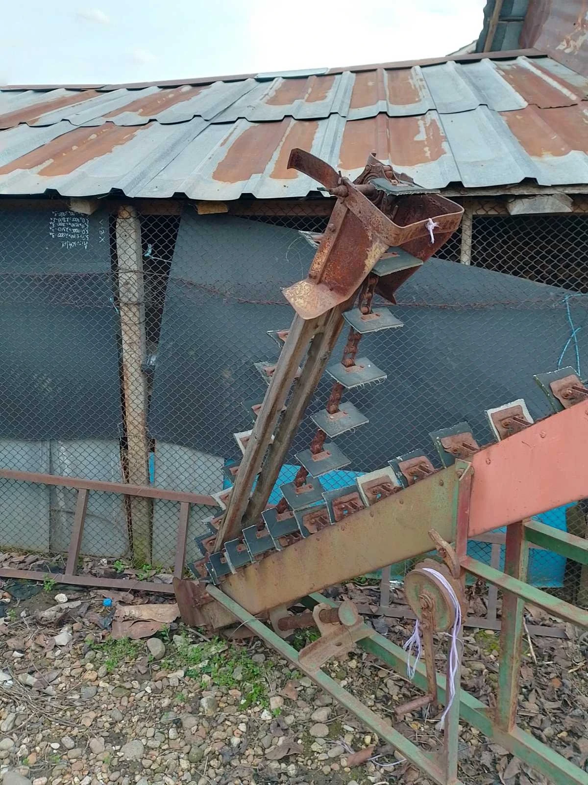 Друг вид Български Лопатков-зърно товарач - изображение 3