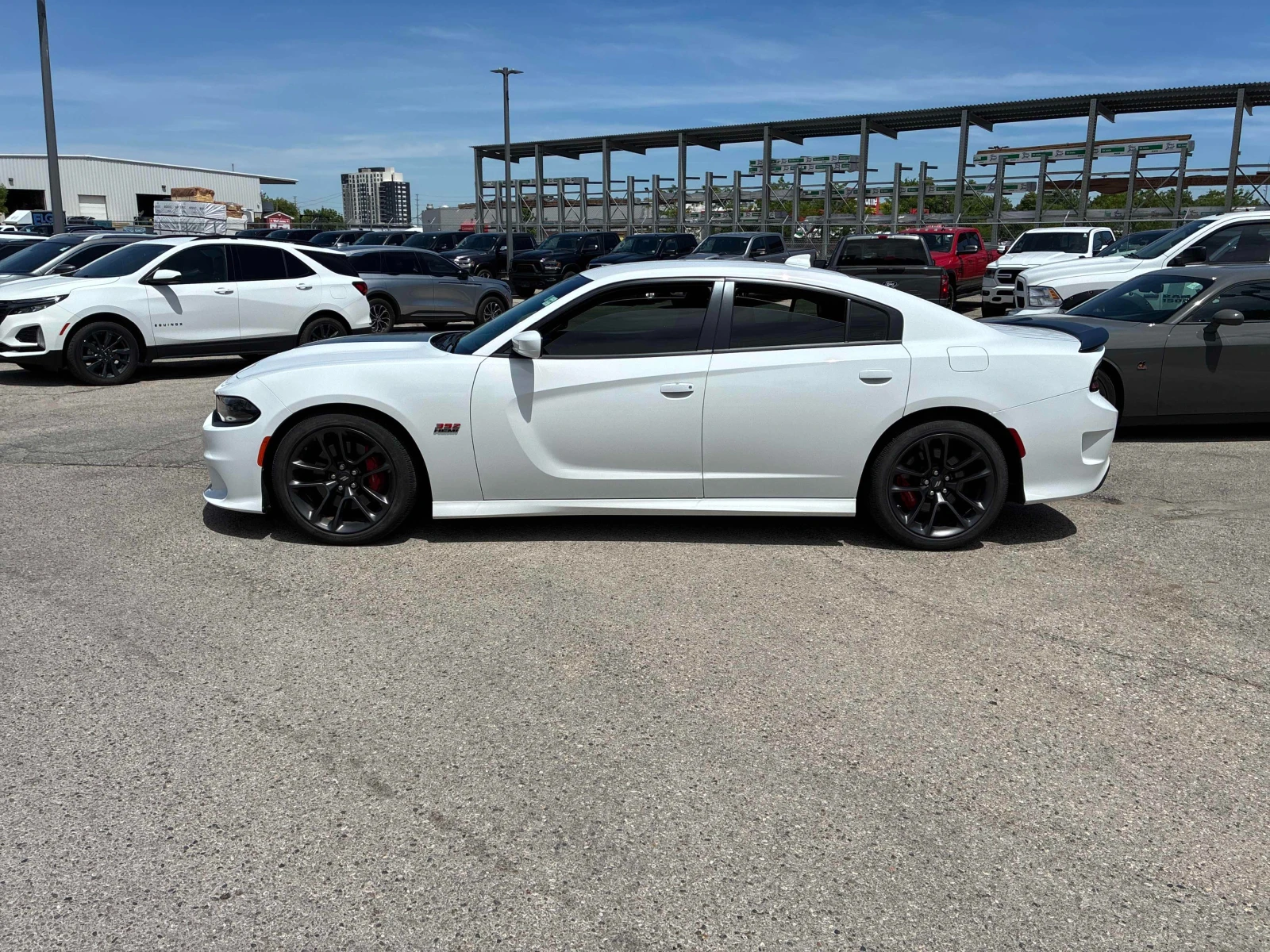Dodge Charger Scat Pack 392, снимка 3 - Автомобили и джипове - 54913353