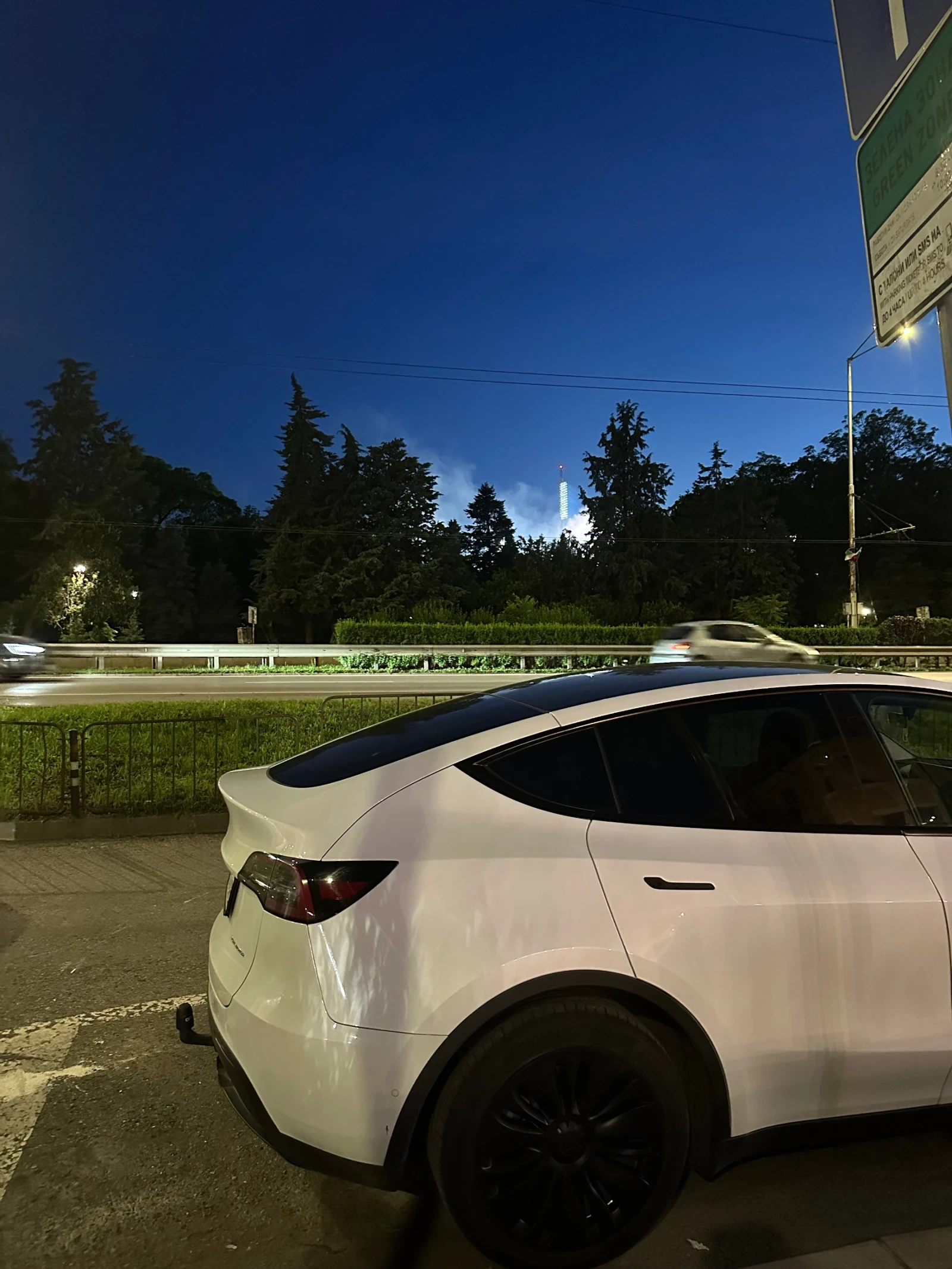 Tesla Model Y Dual Motor - изображение 5