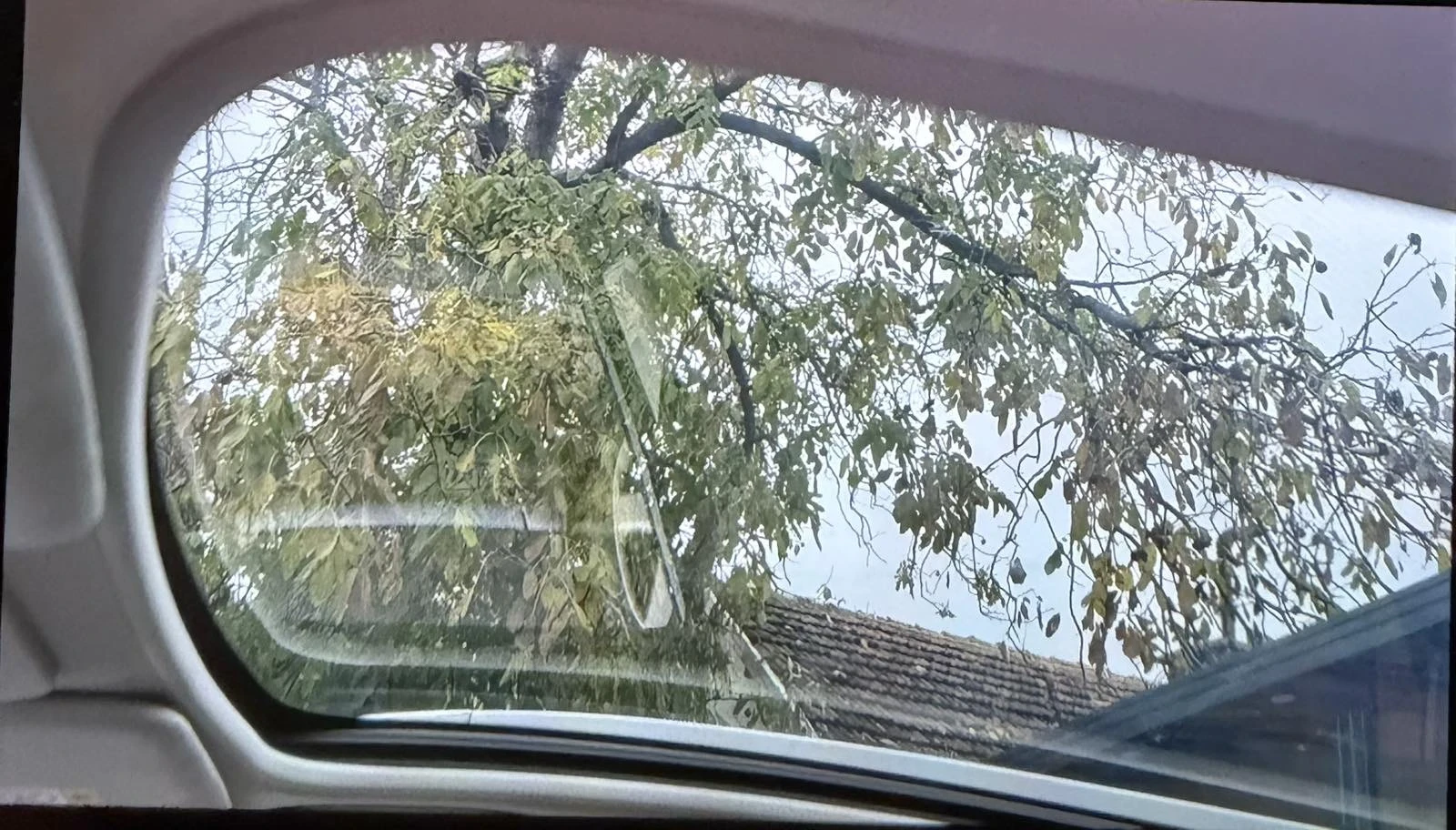 Nissan Qashqai, снимка 7 - Автомобили и джипове - 56749817