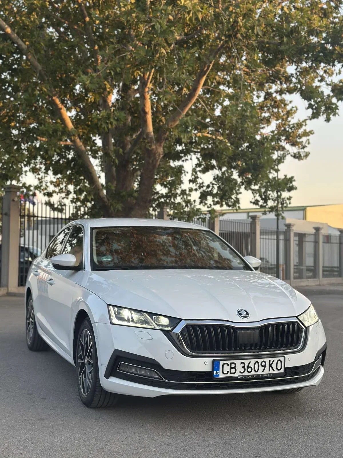 Skoda Octavia 2.0 140к.с. - изображение 2