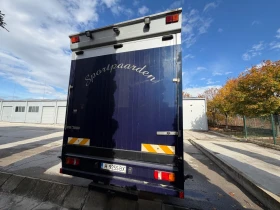 Mercedes-Benz Atego Превоз на коне, снимка 4