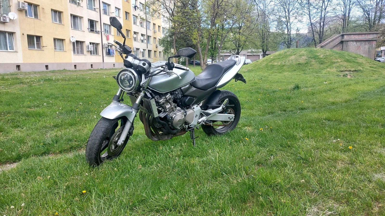 Honda Hornet