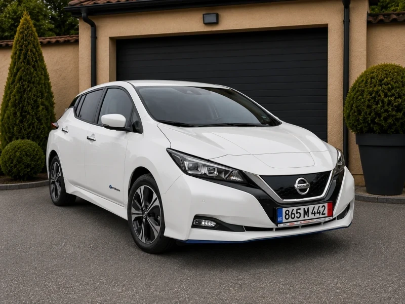 Nissan Leaf  Nissan Leaf 64Wh BOSSE DIS KAMERA 360 40000км