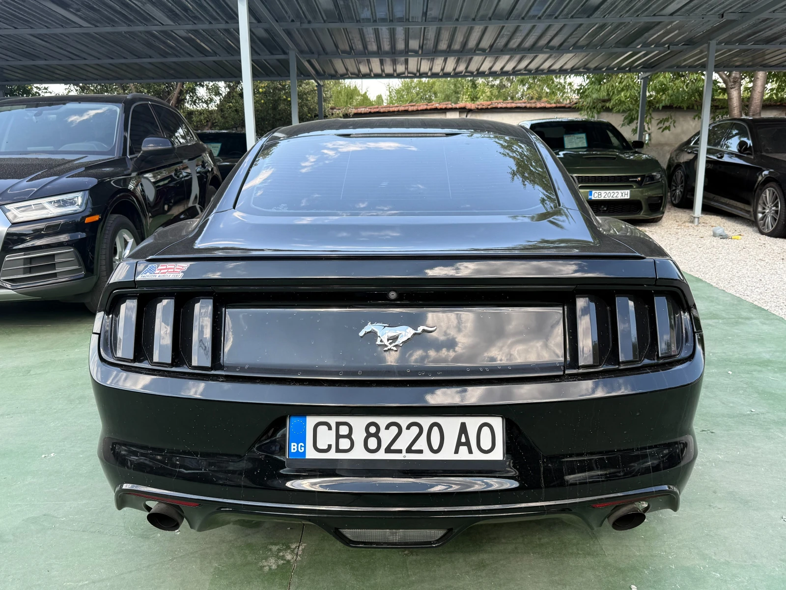 Ford Mustang  - изображение 6