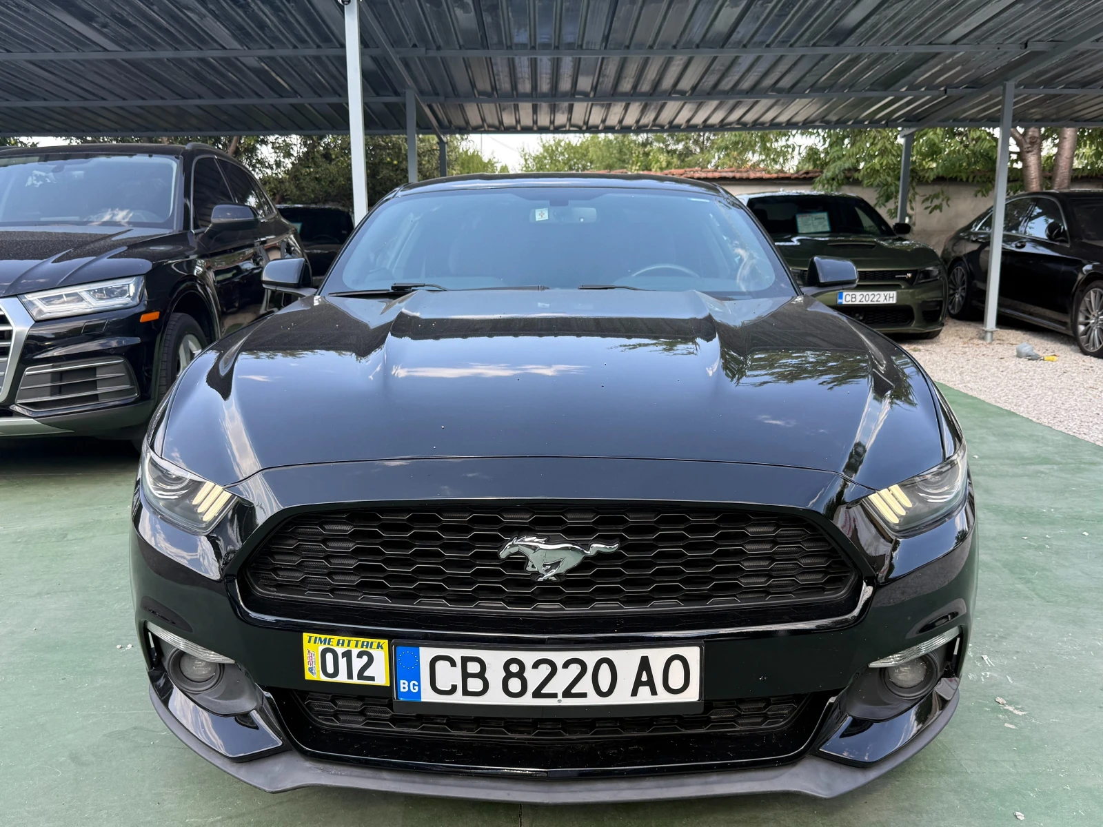 Ford Mustang  - изображение 2